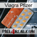 Pfizer Viagra 43